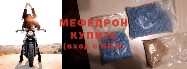 индика Инта