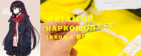 индика Инта