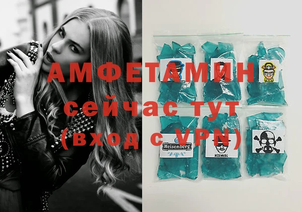 индика Инта