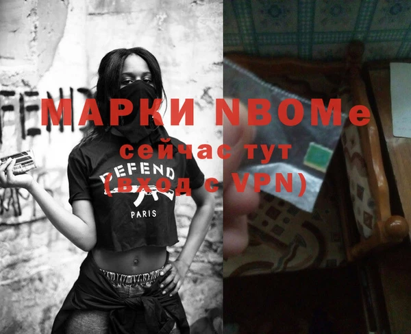 mdpv Инсар