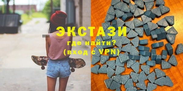 индика Инта