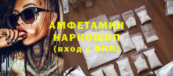 индика Инта