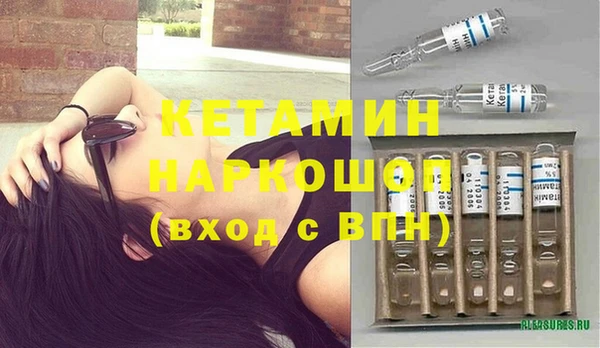 индика Инта