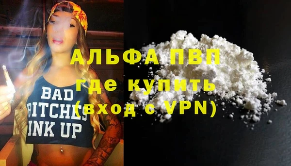 индика Инта