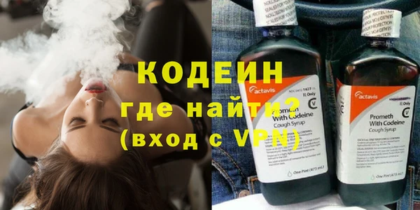 индика Инта