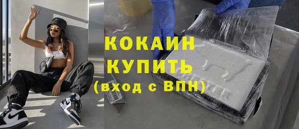 mdpv Инсар