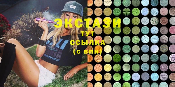 индика Инта